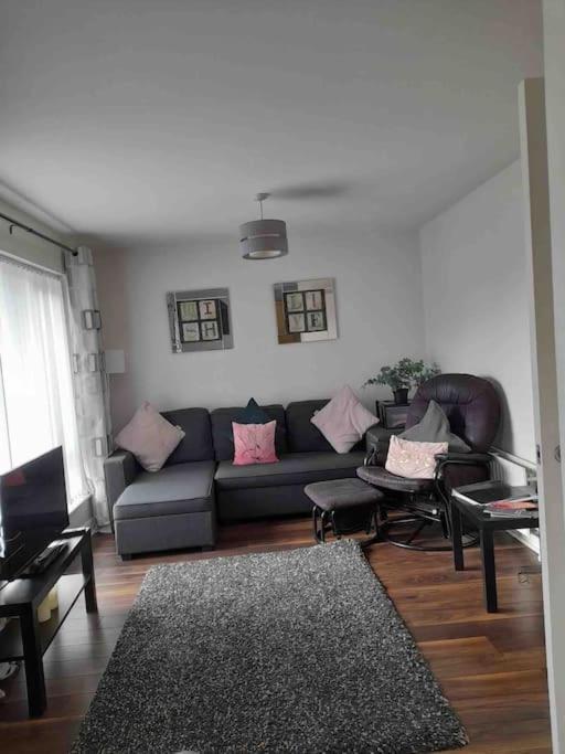 Belfast Apartment المظهر الخارجي الصورة